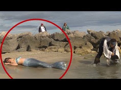 10 Real Life Mermaids Caught on Camera | Real life mermaids, Weird ...