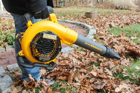 The 8 Best Cordless Leaf Blowers of 2020