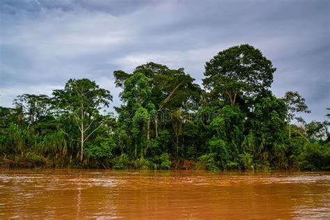 Madre De Dios River In Manu National Park With Scenery Of Tropical Rain ...