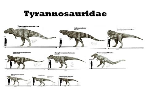 Pin by James Keenan on Paleontology | Prehistoric animals, Extinct ...