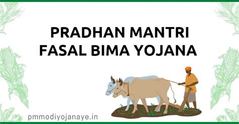 [Apply Online] PMFBY 2024 Pradhan Mantri Fasal Bima Yojana: How to fill ...