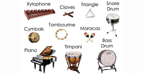 A Guide To The The Family Of Percussion Instruments - PiggyRide