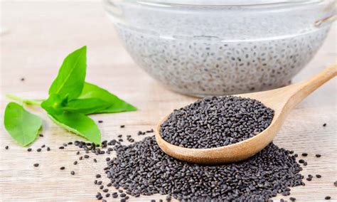 Basil Seeds vs Chia Seeds: What’s the Difference? - A-Z Animals