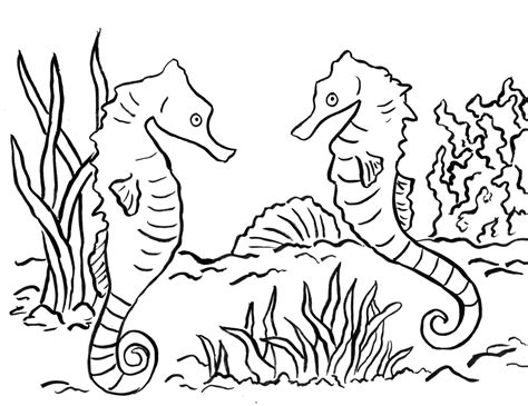 Seahorse Printable Coloring Pages - Printable Templates