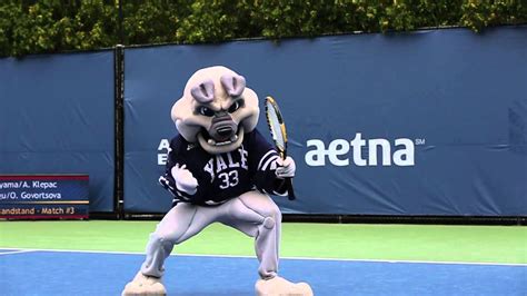 New Haven Open - Yale Mascot Bids for Title - YouTube