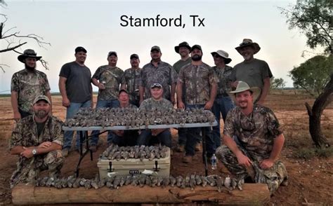 Texas Dove Hunting in North, South, and Central Texas: Prone Outfitters