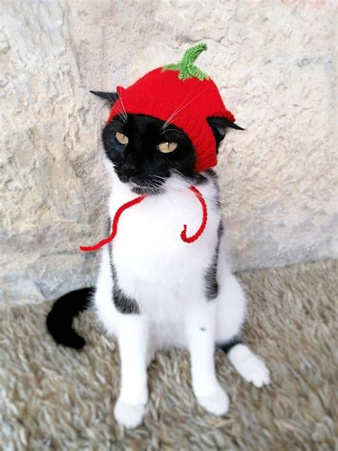 Tomato Cat, Tomato Hat for Cat,hats for Cats,costume for Cats,hats for ...