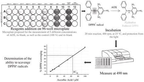 Miniaturized DPPH assay scheme. | Download Scientific Diagram