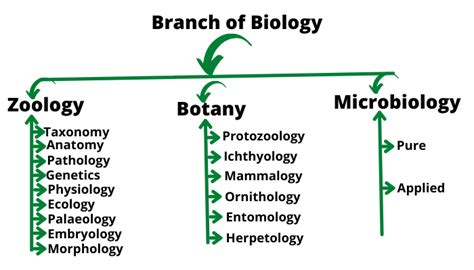 Branches Of Biology