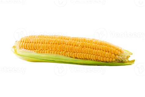 corn on the cob 11190586 PNG