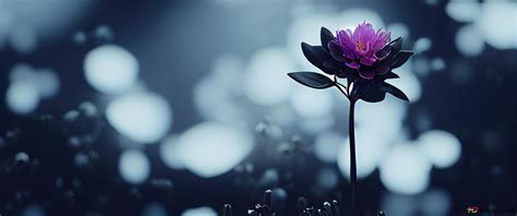 Purple flower art 4K wallpaper download