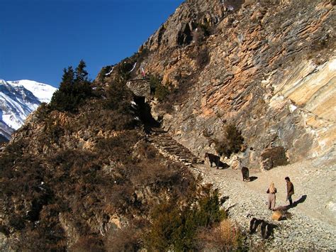 Nepal - trek to Manang 01