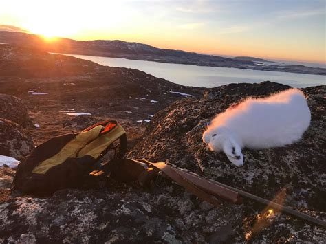 Qaqortoq, town in South Greenland - [Visit Greenland!]