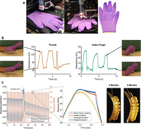 Wearable and robotic applications of the sensorized hydrogel a A custom ...