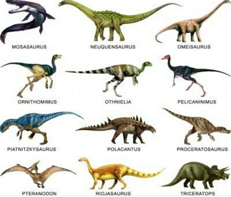 Names of different types of dinosaurs with images seen clearly - Brainly.in