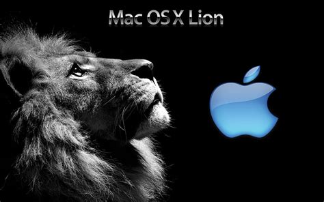 30Mac OS X Lion [] for your , Mobile HD wallpaper | Pxfuel