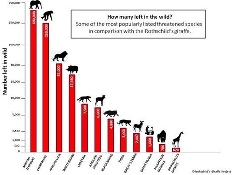 endangered species graphs - Google Search | Human population growth and ...