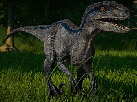 Velociraptor Blue : r/jurassicworldevo