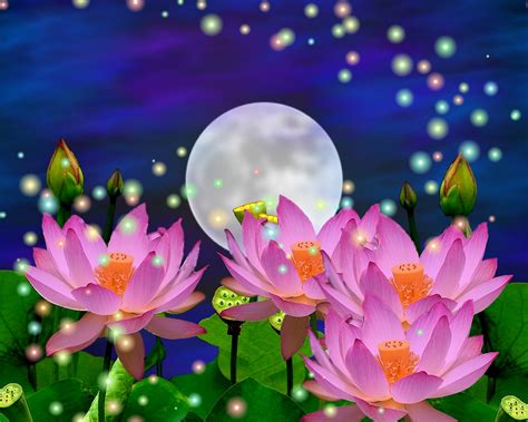 Moon Flower Wallpapers - Wallpaper Cave