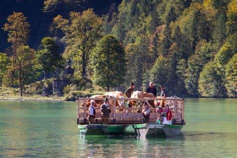 Gliding Across Lake Königsee [Boats and Fall Leaves]