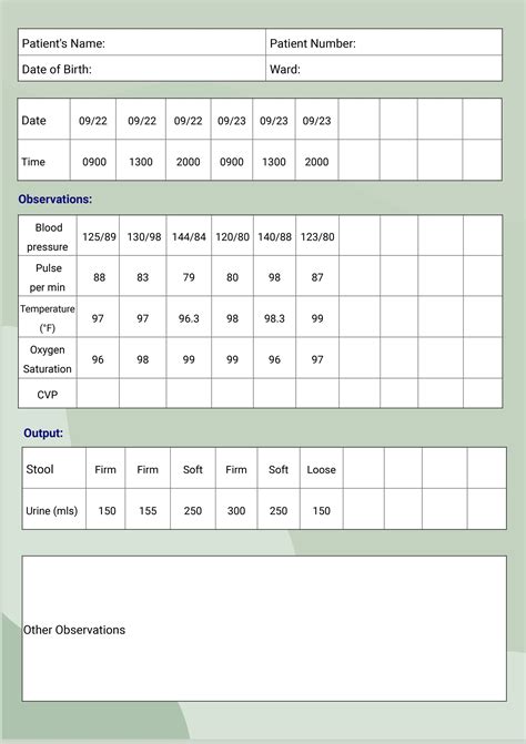 Hospital Patient Chart Template