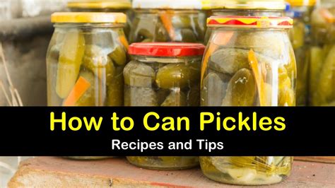 A Simple Way to Can Dill Pickles