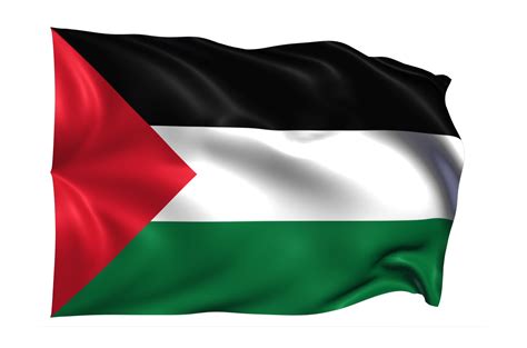 Palestine Flag PNGs for Free Download