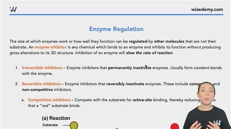 Enzyme Regulation - Wize University Biology Textbook | Wizeprep