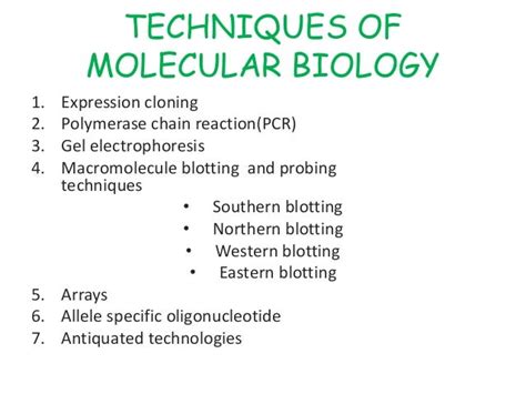 molecular biology techniques