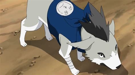 Who is Shiba in Naruto?