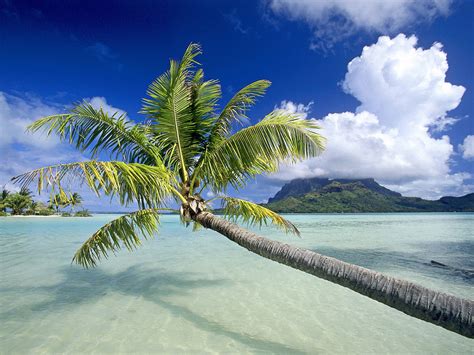 World Visits: Tropical Island Beach Wallpaper Free Review