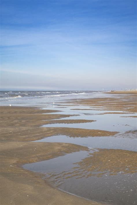 Beach in Zandvoort aan Zee stock image. Image of beach - 141572615