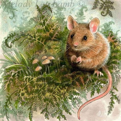 "Field Mouse 2013" is a 5 x 5" colored pencil, India ink and some white ...