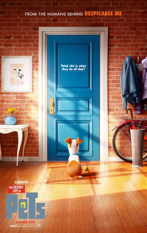 The Secret Life of Pets (#1 of 19): Extra Large Movie Poster Image ...