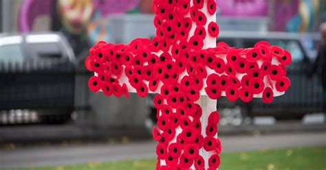 The history of a Remembrance Day poppy and why we wear one in November ...