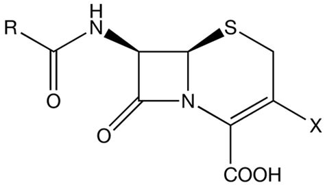 Cephalosporin - wikidoc