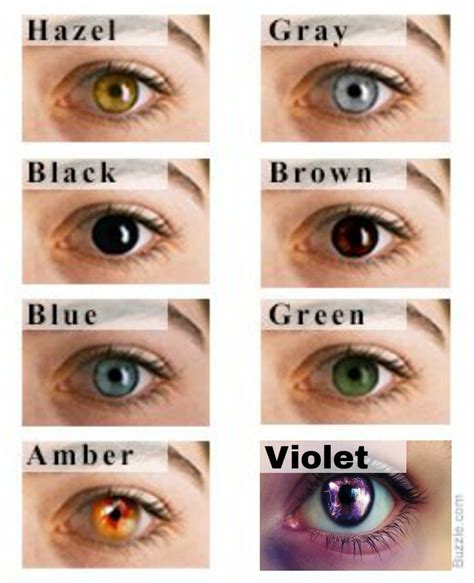 Overview of Eye Color Depictions in 2023 | Eye color chart, Rare eye ...