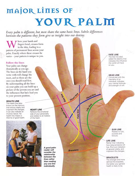 Major lines of your palm | Palm reading, Palmistry, Palmistry reading