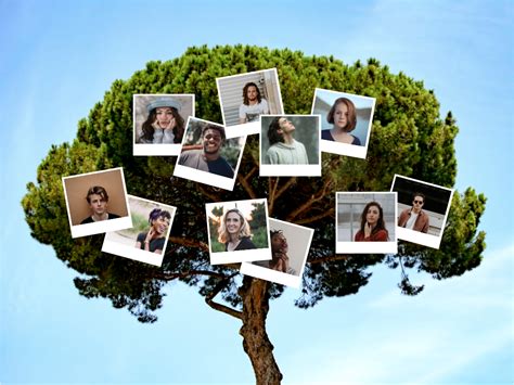 Tree Photo Family Tree Collage | Family Tree Template