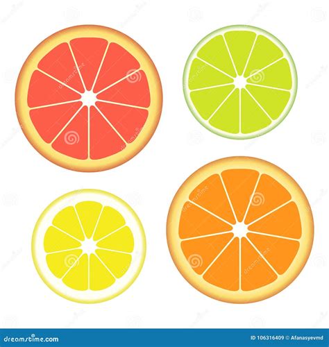 Set of Slices of Different Citrus Fruits Isolated on White Background ...