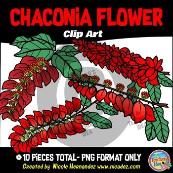 Chaconia Flower Clipart by Nicole Hernandez - A Teacher's Idea | TPT