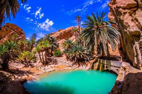 The Mountain Oasis of Chebika | Tunisia, Oasis, Tourist places