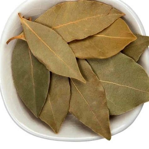 Benefits of the Bay Leaf | Andrea Orem