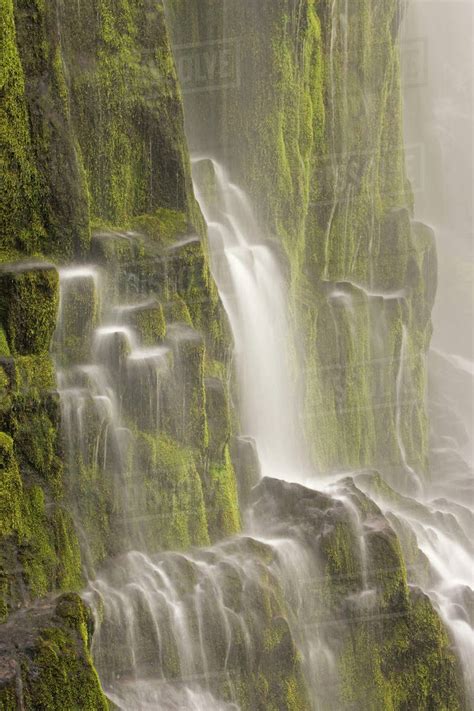 Waterfall on a mountain, Proxy Falls, Willamette National Forest ...