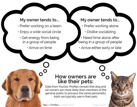 Dog person or a cat person? Your personality gives it away | Dallas Hwy.com