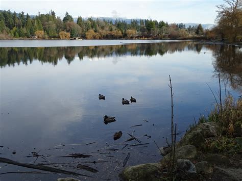 Winter Scene at Lost Lagoon - Stanley Park - Vancouver - B… | Flickr