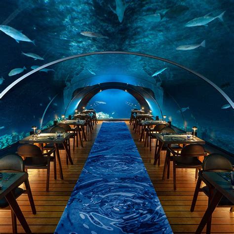 Have a feast in the Underwater Restaurants in Maldives!