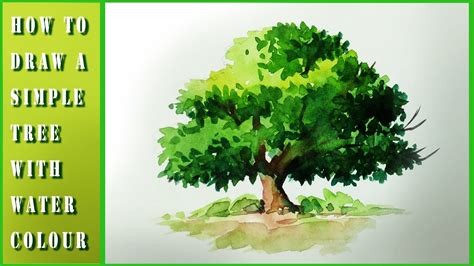 How to draw tree with watercolor - YouTube