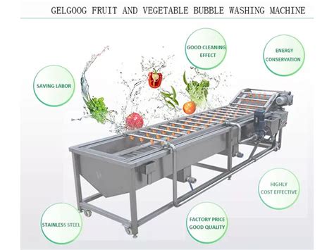 Fruit and vegetable processing equipment: fruit and vegetable ...