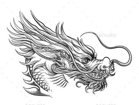 Hand Drawn Chinese Dragon Head by vectortatu | GraphicRiver